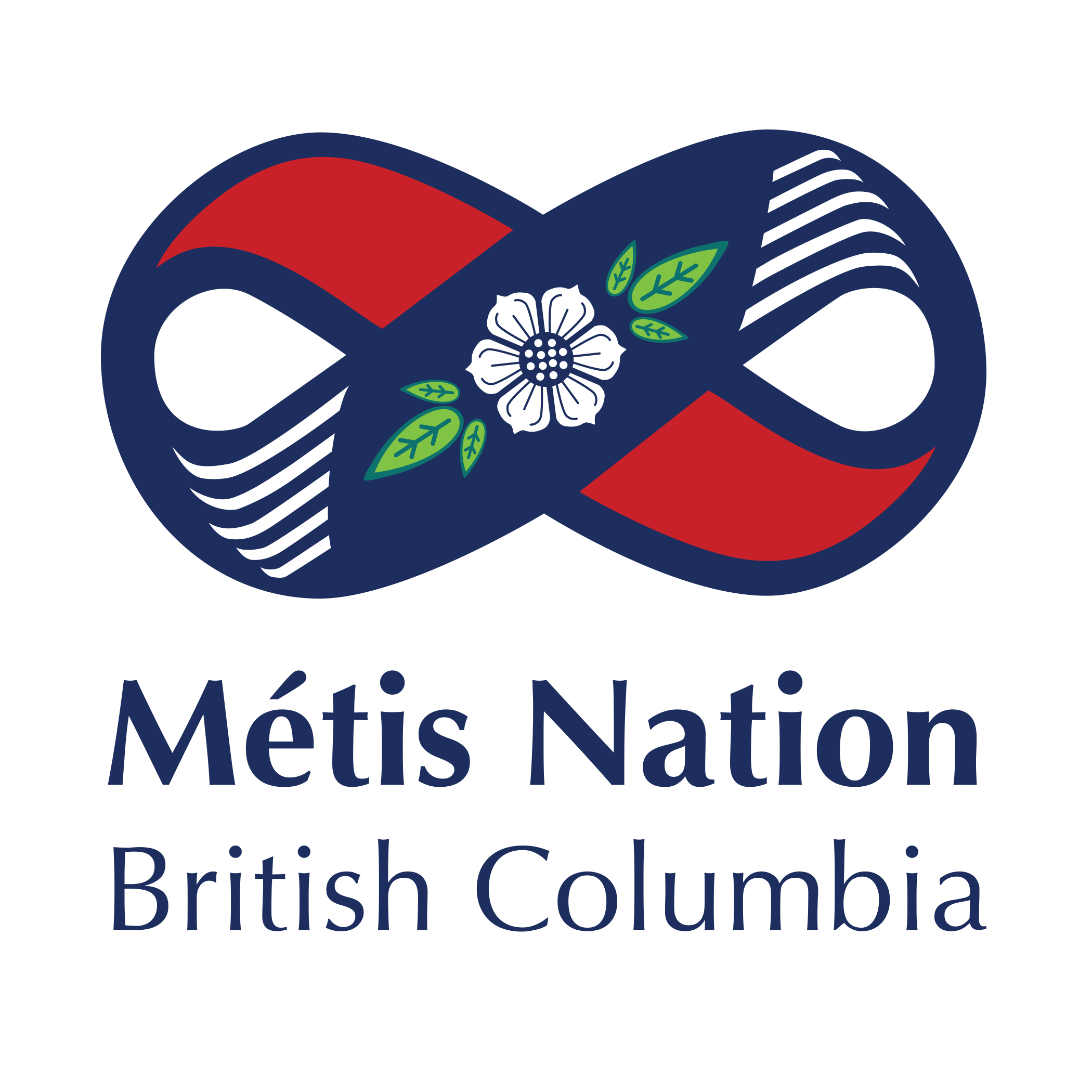 METIS HUB metis-hub